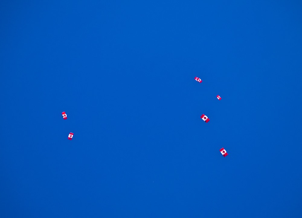 SkyHawks under canopy